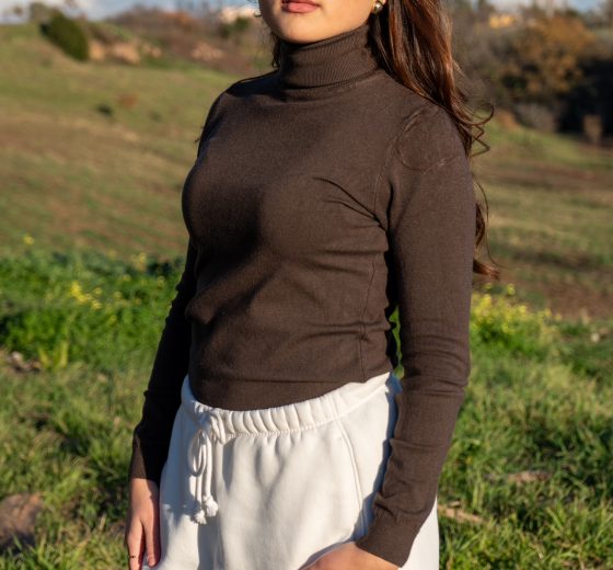 MAGLIONE COLLO ALTO MARRONE - immagine 2
