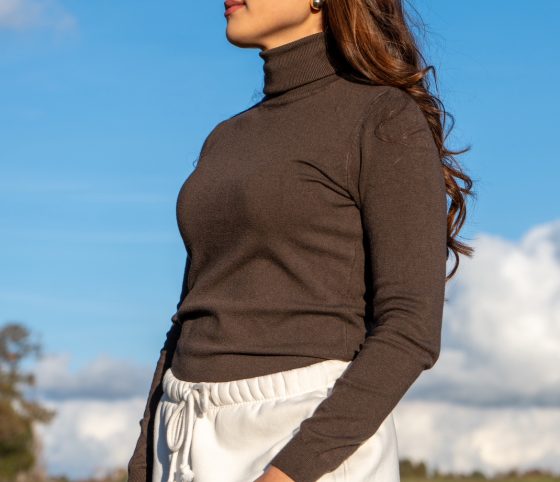 MAGLIONE COLLO ALTO MARRONE